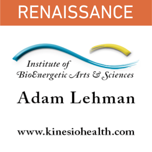 RENAISSANCEsponsorSQ-2